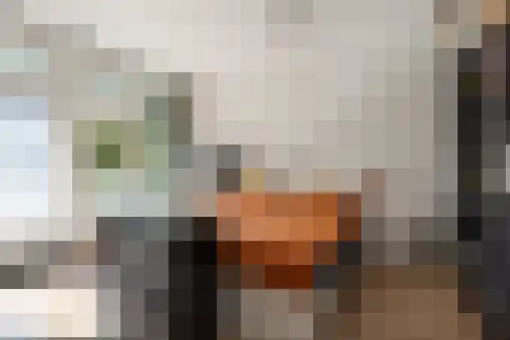 Dikninge 109 Amsterdam thumbnail 15