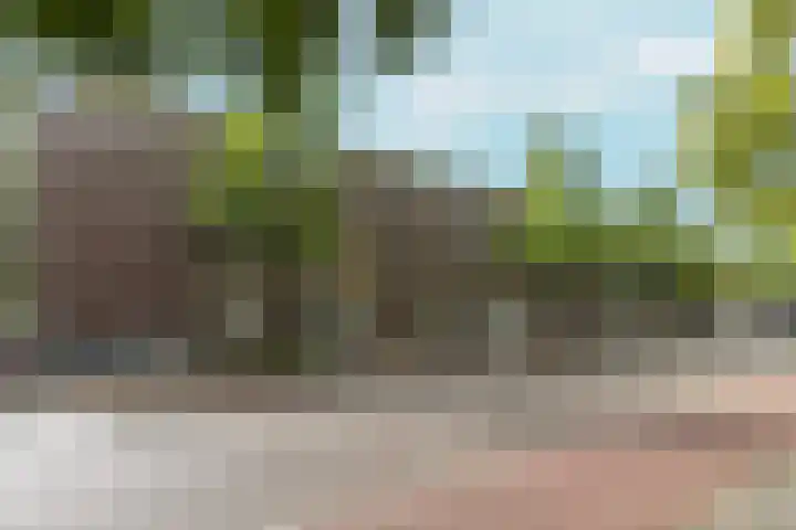 Dikninge 109 Amsterdam thumbnail 21
