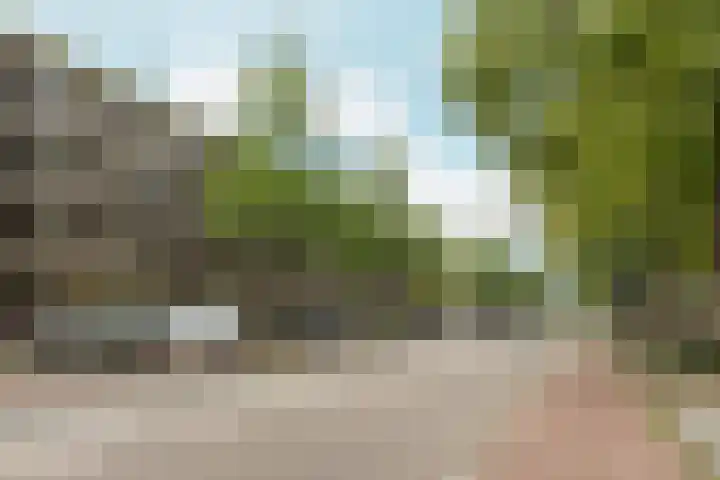 Dikninge 109 Amsterdam thumbnail 22
