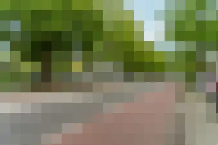 Dikninge 109 Amsterdam thumbnail 24