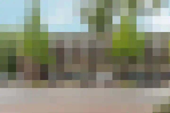 Dikninge 109 Amsterdam thumbnail 4