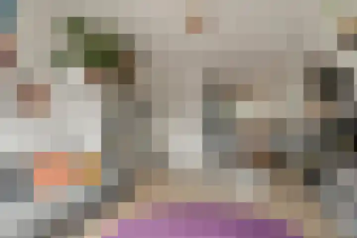Dikninge 109 Amsterdam thumbnail 5