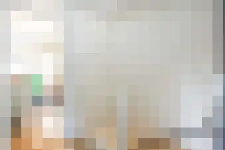 Dikninge 11 Norg thumbnail 31