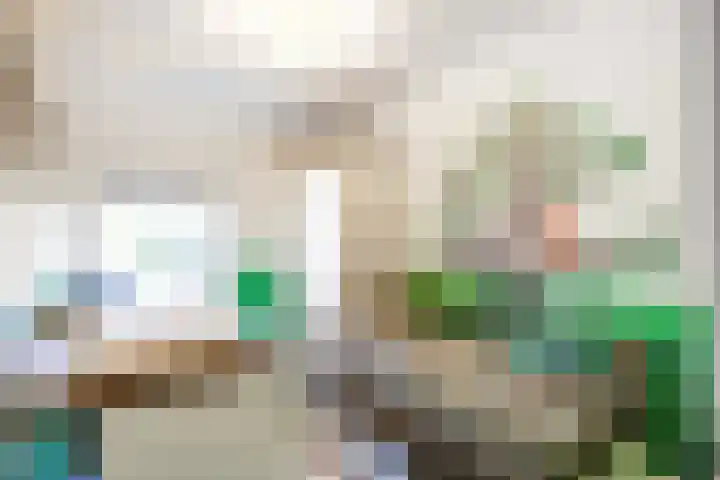 Dikninge 11 Norg thumbnail 32