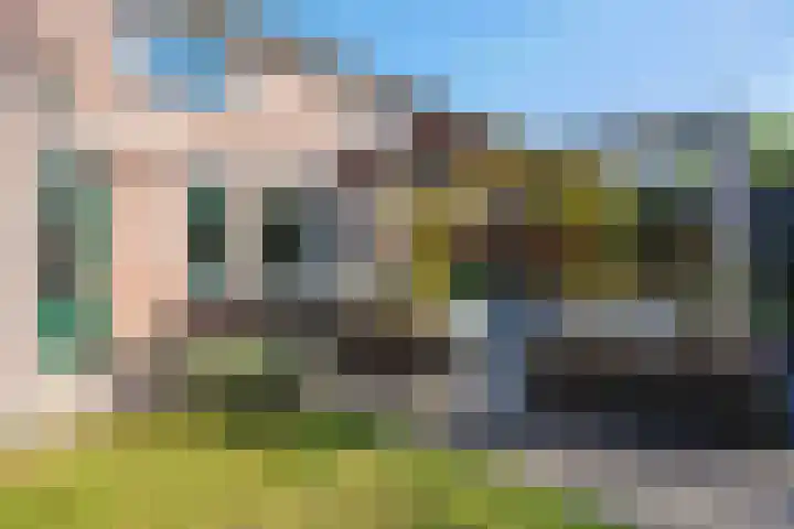 Dikninge 11 Norg thumbnail 49