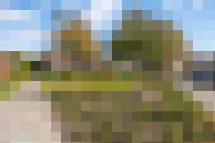 Dikninge 11 Norg thumbnail 51