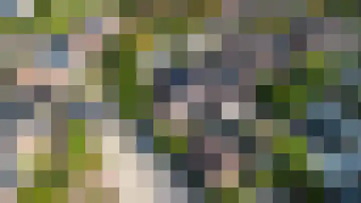 Dikninge 11 Norg thumbnail 54