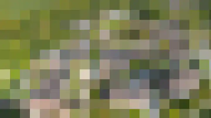 Dikninge 11 Norg thumbnail 55
