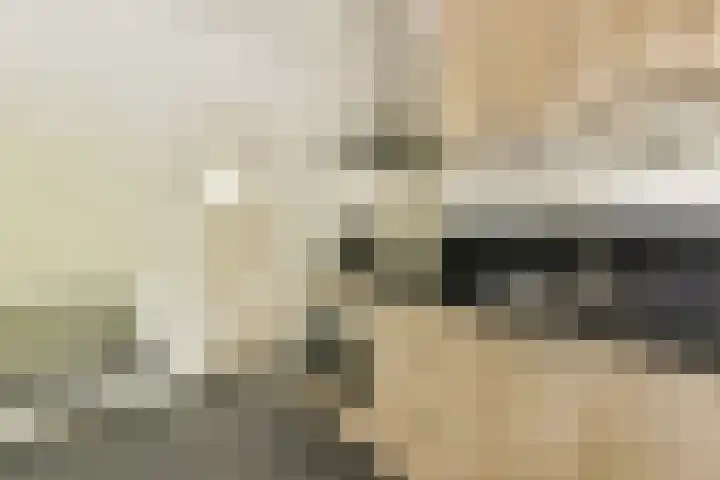 Dikninge 133 Amsterdam thumbnail 12