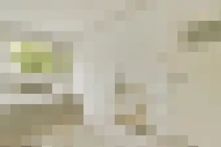 Dikninge 133 Amsterdam thumbnail 14