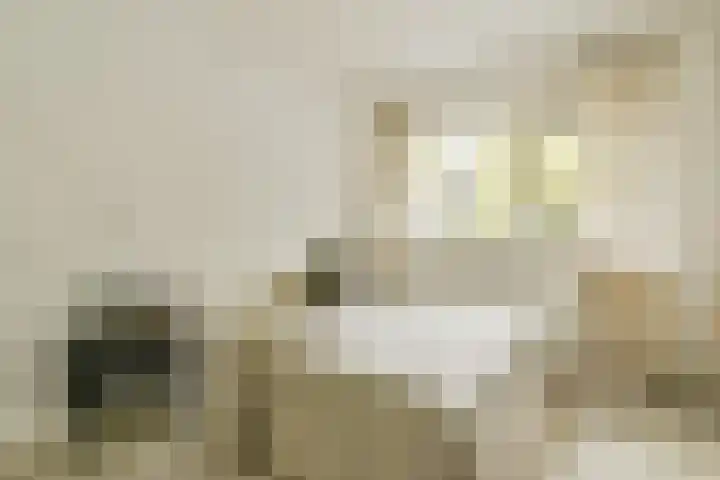 Dikninge 133 Amsterdam thumbnail 16