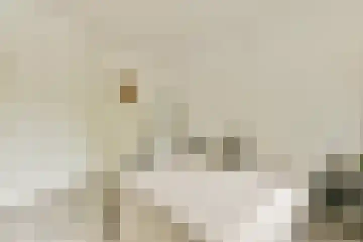 Dikninge 133 Amsterdam thumbnail 17