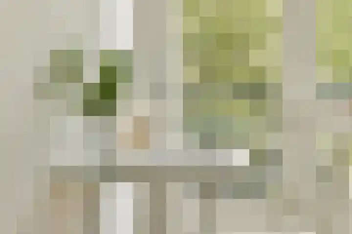 Dikninge 133 Amsterdam thumbnail 20