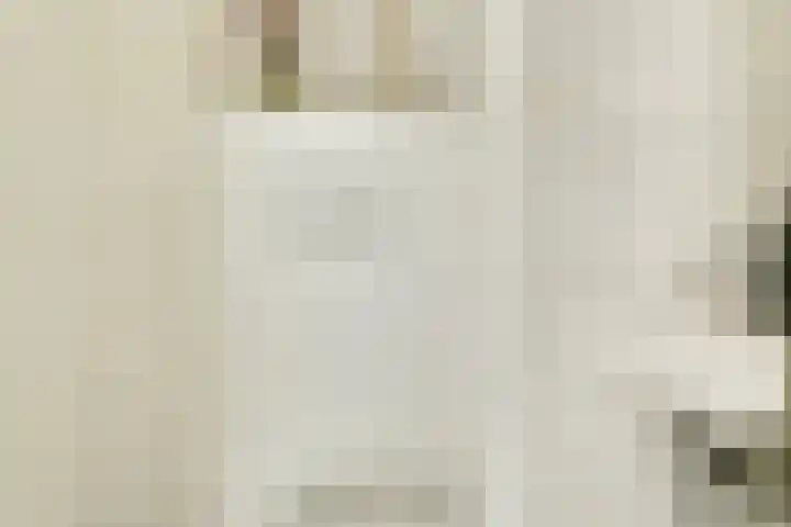 Dikninge 133 Amsterdam thumbnail 25