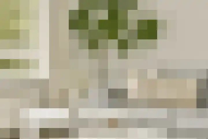 Dikninge 133 Amsterdam thumbnail 5