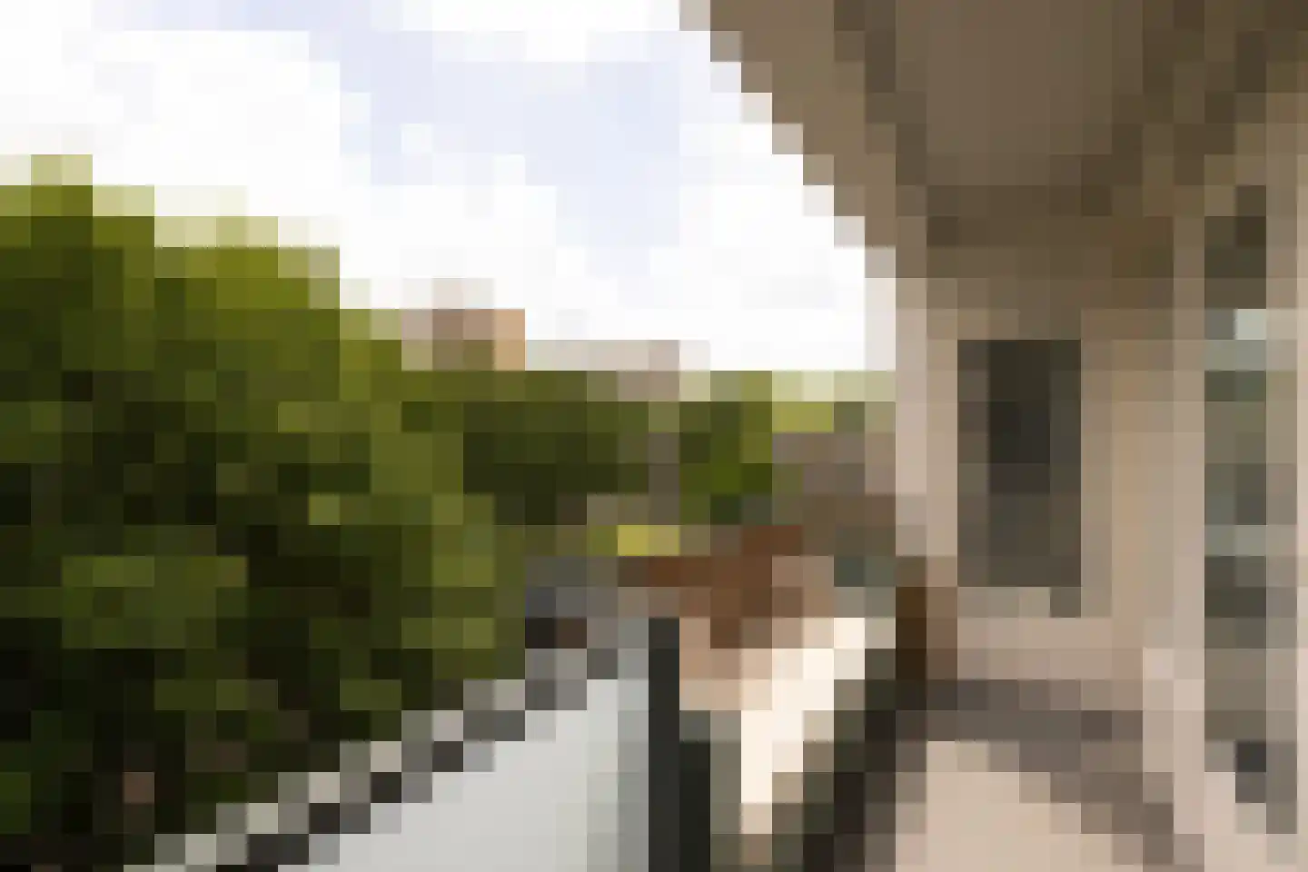 Dikninge 161 Amsterdam thumbnail 22