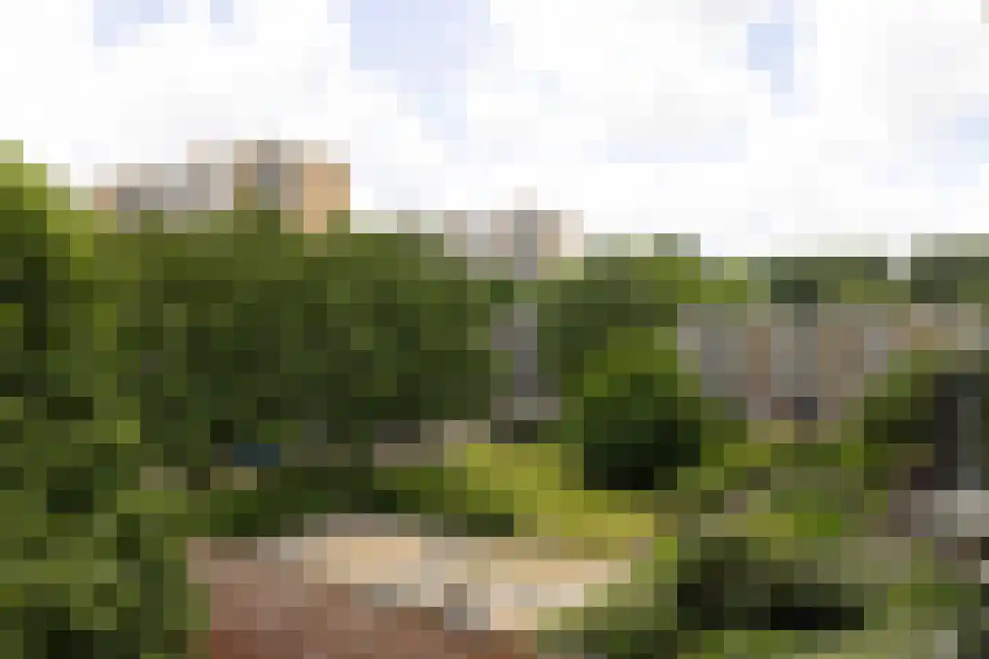 Dikninge 161 Amsterdam thumbnail 24