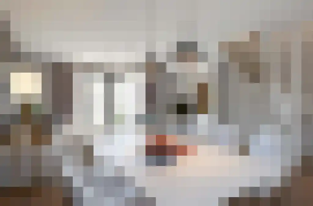 Dikninge 2 Norg thumbnail 15