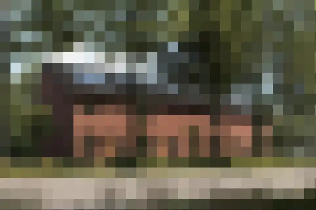 Dikninge 2 Norg thumbnail 16