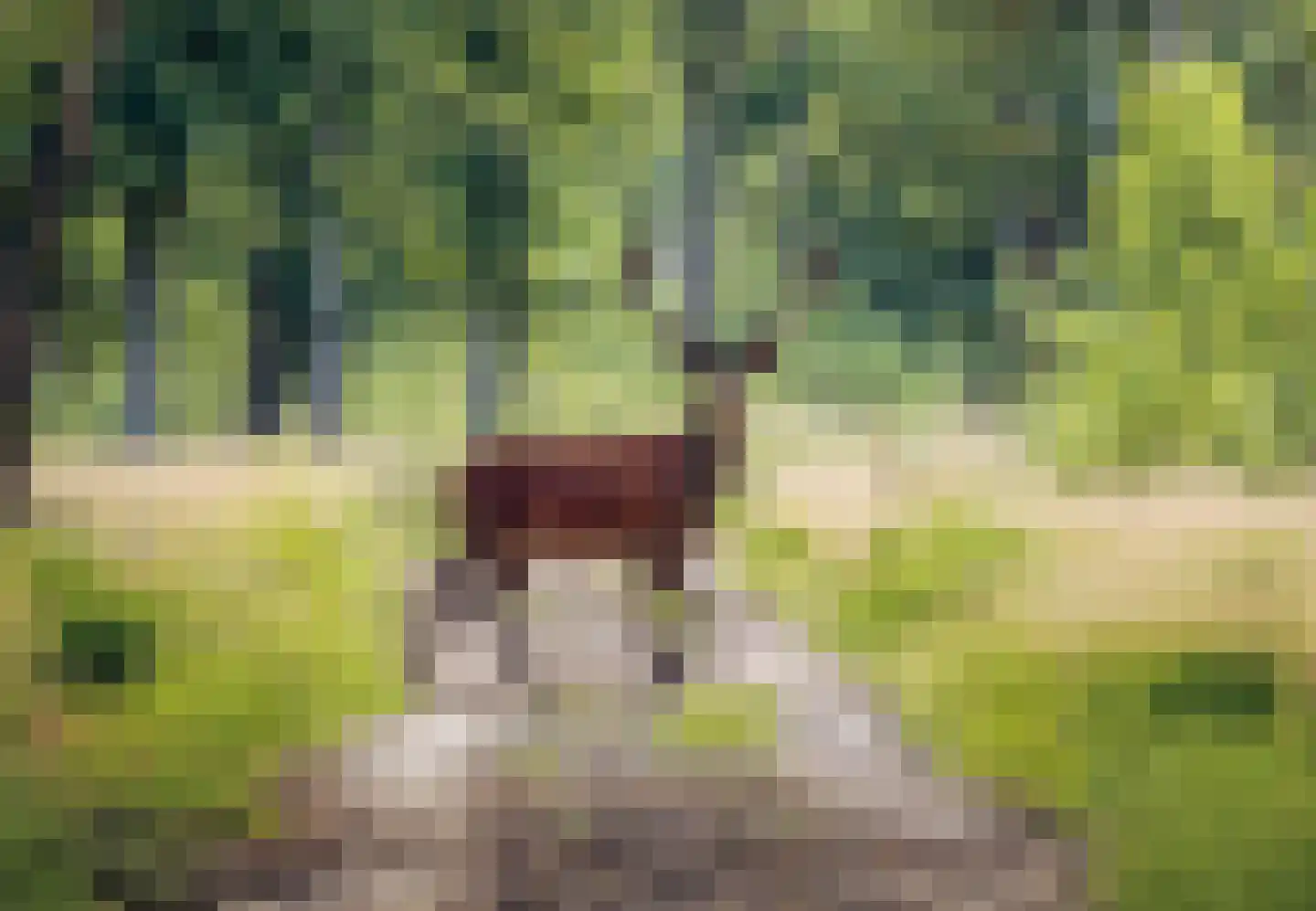 Dikninge 2 Norg thumbnail 7