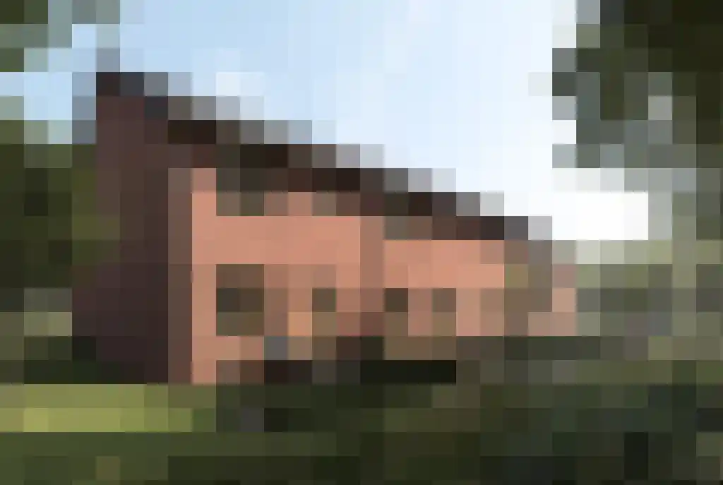 Dikninge 4 Norg thumbnail 12