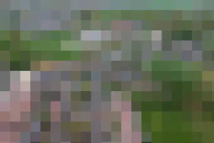 Dikninge 4 Norg thumbnail 13