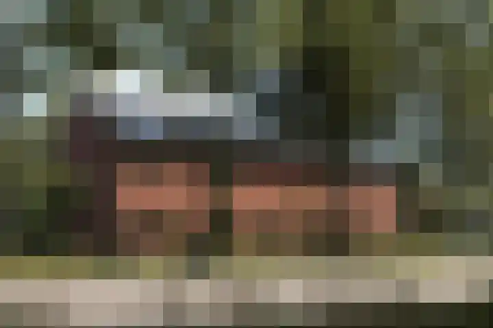 Dikninge 4 Norg thumbnail 14