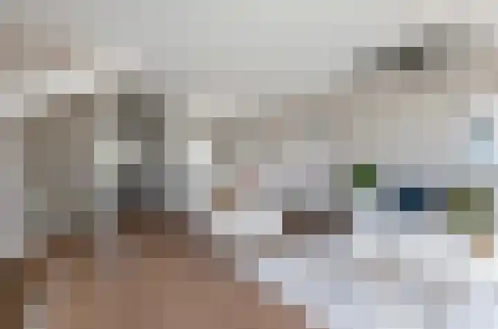 Dikninge 4 Norg thumbnail 15