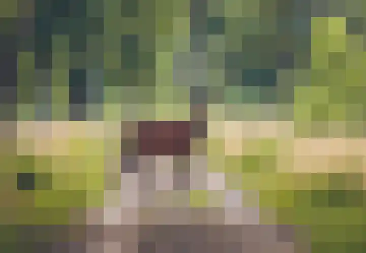 Dikninge 4 Norg thumbnail 16