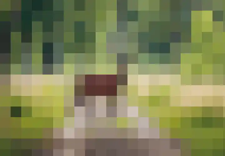Dikninge 4 Norg thumbnail 5
