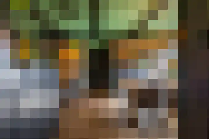 Dikninge 40 Norg thumbnail 11