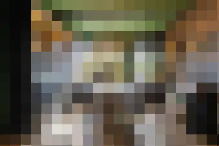 Dikninge 40 Norg thumbnail 12