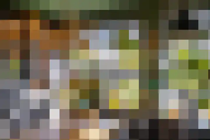Dikninge 40 Norg thumbnail 13