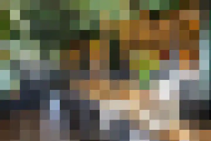 Dikninge 40 Norg thumbnail 14