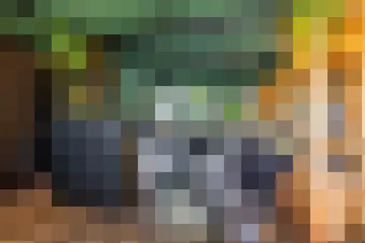 Dikninge 40 Norg thumbnail 15