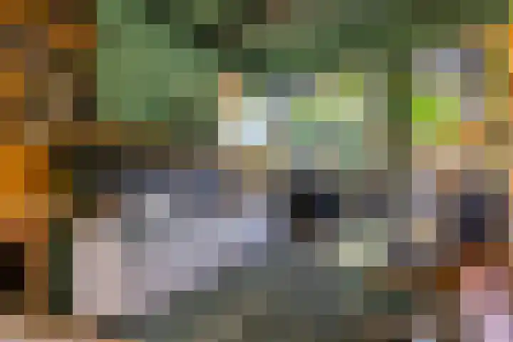 Dikninge 40 Norg thumbnail 16