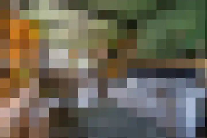 Dikninge 40 Norg thumbnail 17