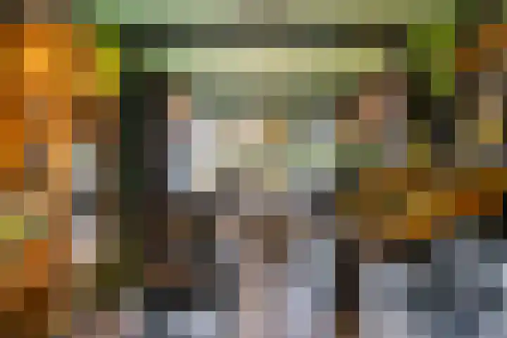 Dikninge 40 Norg thumbnail 18