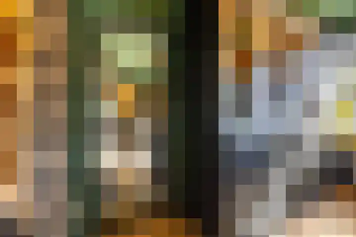 Dikninge 40 Norg thumbnail 19