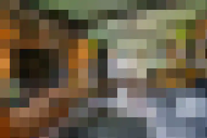 Dikninge 40 Norg foto 2