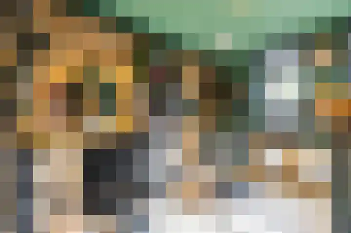 Dikninge 40 Norg thumbnail 20