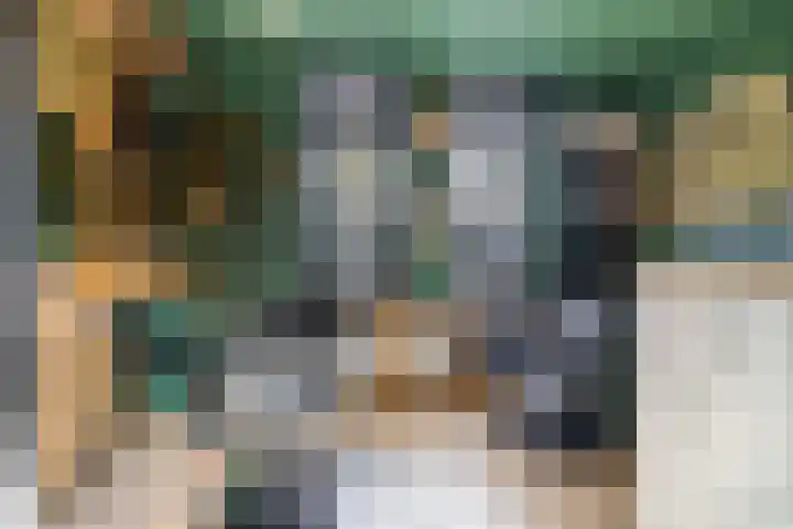 Dikninge 40 Norg thumbnail 21
