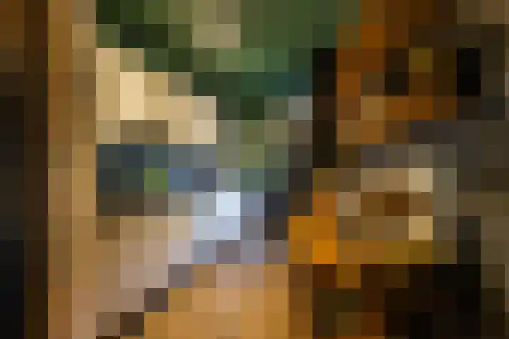 Dikninge 40 Norg thumbnail 22