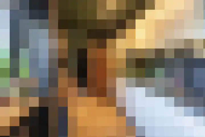 Dikninge 40 Norg thumbnail 23