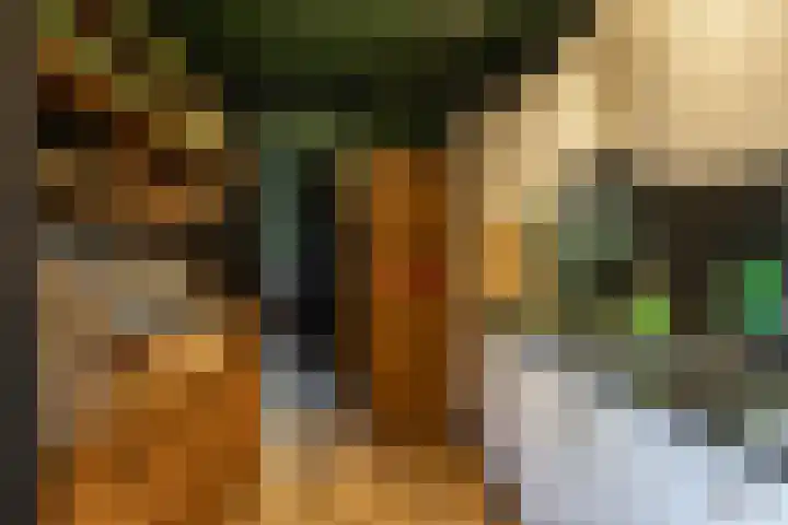 Dikninge 40 Norg thumbnail 24