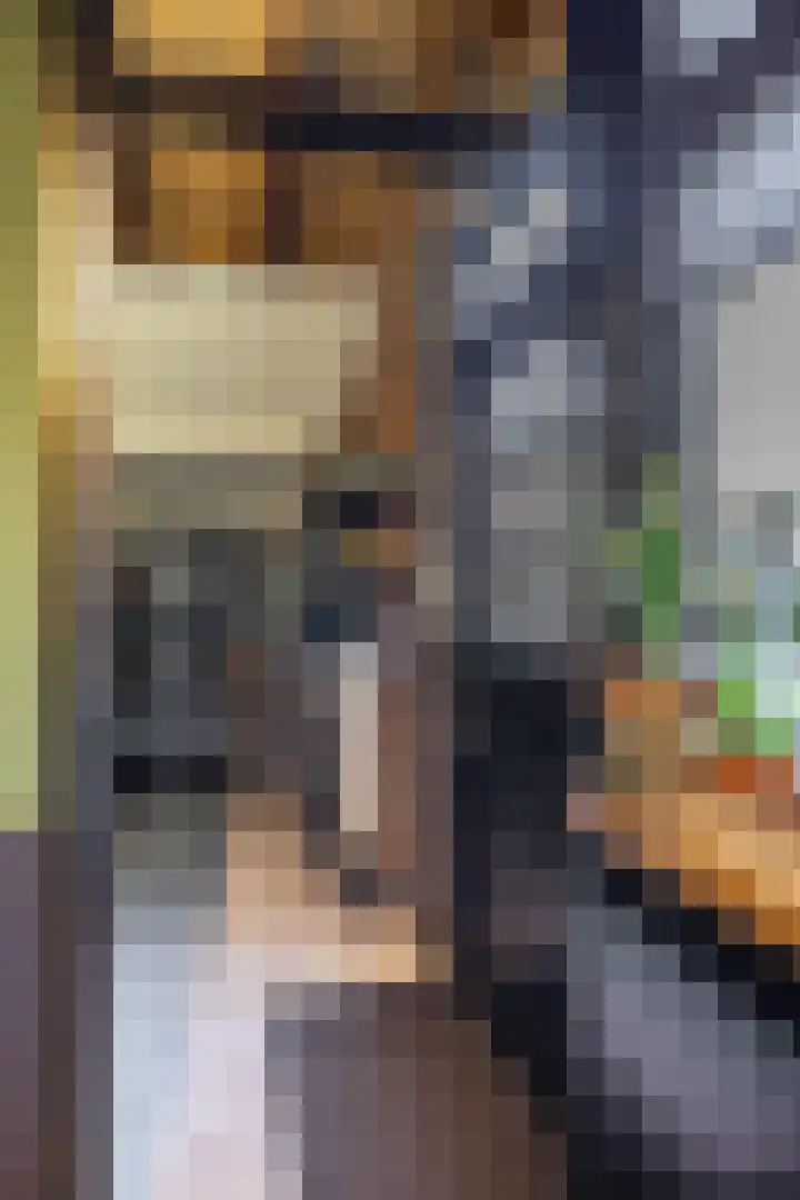 Dikninge 40 Norg thumbnail 25
