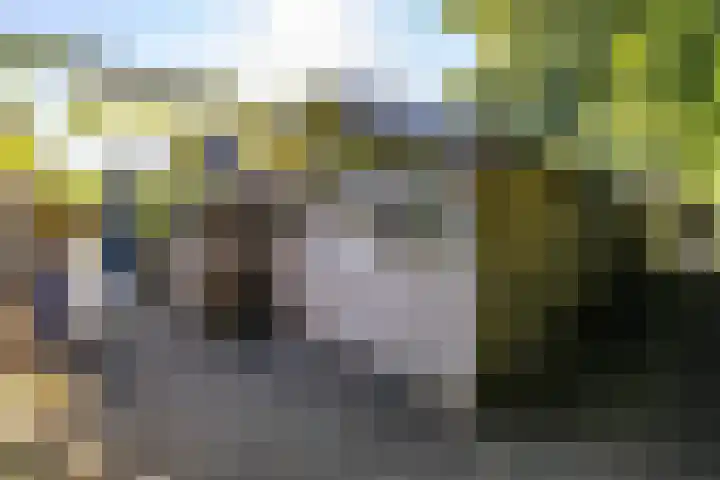 Dikninge 40 Norg thumbnail 29