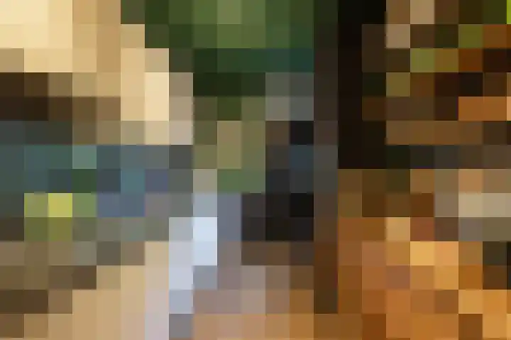 Dikninge 40 Norg foto 3