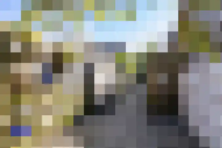 Dikninge 40 Norg thumbnail 30