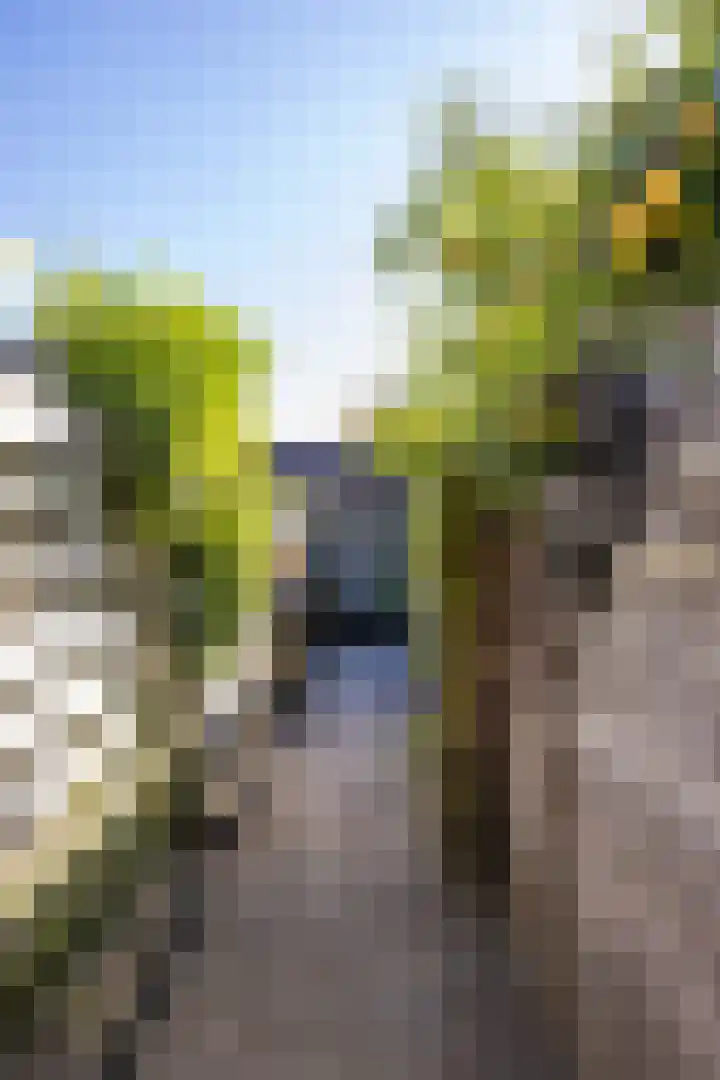 Dikninge 40 Norg thumbnail 31